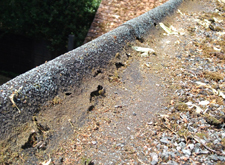 Blistered raised kerbs