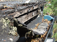 Felt cracking / gutter blockage